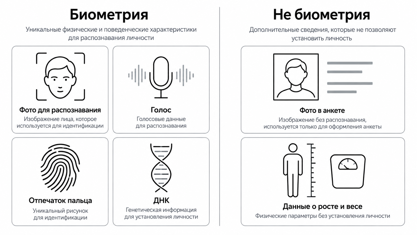 Что относится к биометрии, а что нет